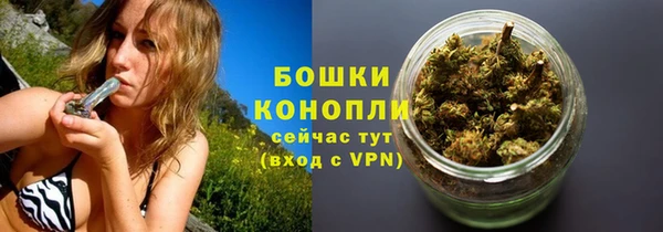 прущие грибы Балабаново