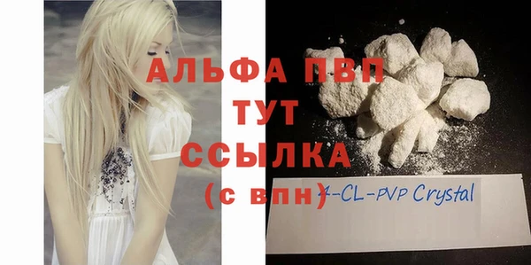 прущие грибы Балабаново