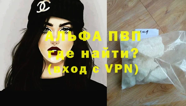 прущие грибы Балабаново