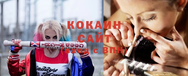 прущие грибы Балабаново