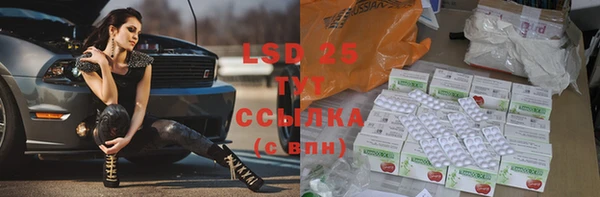 прущие грибы Балабаново