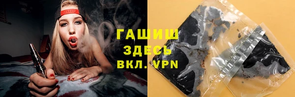 прущие грибы Балабаново