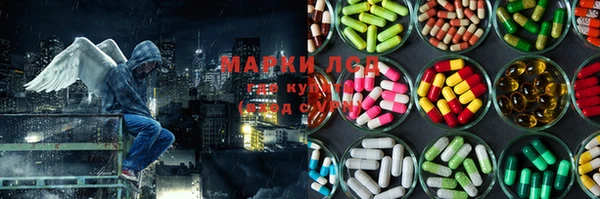 прущие грибы Балабаново