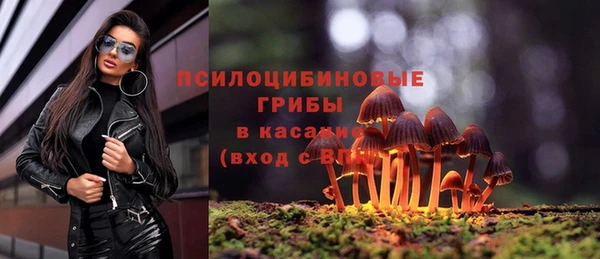 MESCALINE Баксан