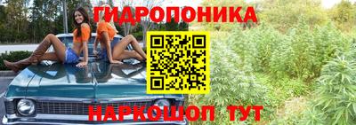PSILOCYBIN Первоуральск