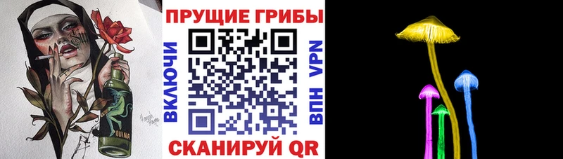 MEGA как зайти  Черняховск  Псилоцибиновые грибы MAGIC MUSHROOMS 